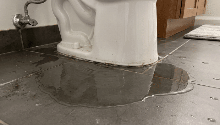 Water Pooling Around The Base Of Your Toilet