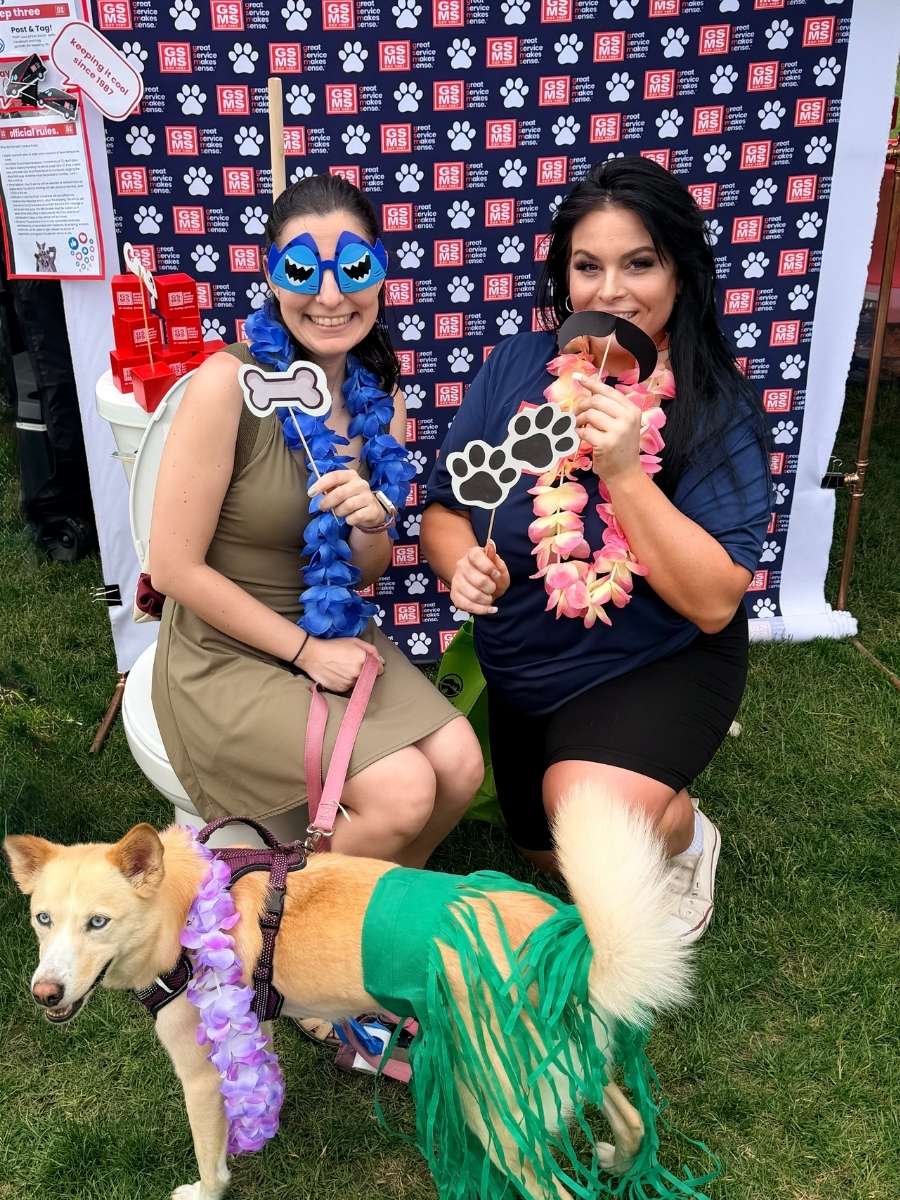 Gsms Mutt Strutt Dog And Masks